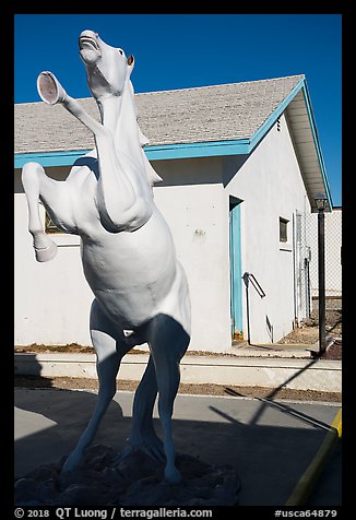 Horse sculpture, Amboy. California, USA (color)