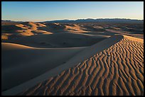 Ripples on dunes, Cadiz Sand Dunes. Mojave Trails National Monument, California, USA ( color)