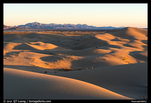 Dunes and mountains at sunset, Cadiz Dunes. Mojave Trails National Monument, California, USA