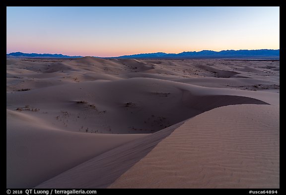 Dusk, Cadiz Dunes Wilderness. Mojave Trails National Monument, California, USA