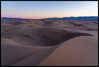 Dusk, Cadiz Dunes Wilderness. Mojave Trails National Monument, California, USA ( color)