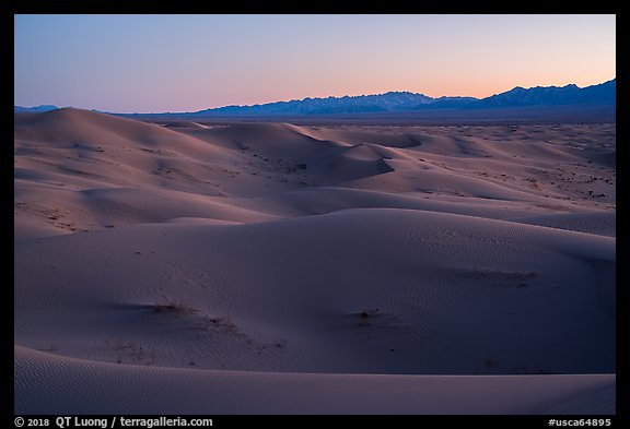 Dune ridges and Shiphole Mountains at dusk, Cadiz Dunes. Mojave Trails National Monument, California, USA