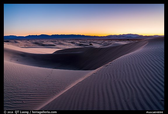 Rippled sand and ridges at dusk, Cadiz Dunes. Mojave Trails National Monument, California, USA (color)