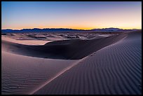 Rippled sand and ridges at dusk, Cadiz Dunes. Mojave Trails National Monument, California, USA ( color)