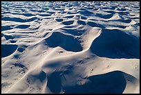 Aerial view of ridges and shadows, Cadiz Sand Dunes. Mojave Trails National Monument, California, USA ( color)