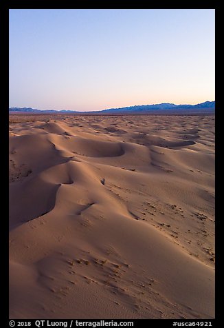 Aerial view of Cadiz Sand Dunes at dusk. Mojave Trails National Monument, California, USA