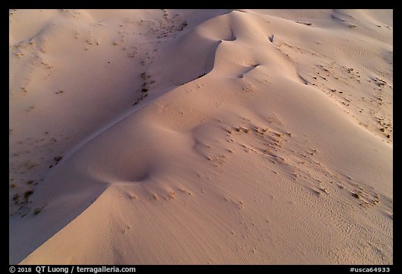 Aerial view of dune close-up, Cadiz Dunes. Mojave Trails National Monument, California, USA