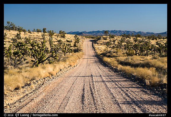 Main road. Castle Mountains National Monument, California, USA (color)