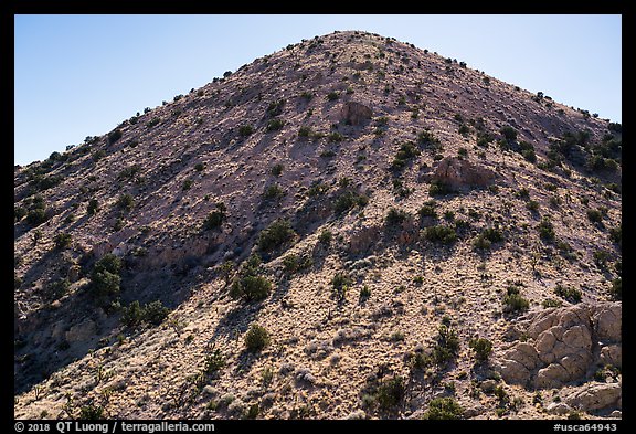 Castle Mountains peak with juniper trees. Castle Mountains National Monument, California, USA (color)