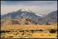 Snow-capped San Gorgonio Mountain. Sand to Snow National Monument, California, USA ( color)