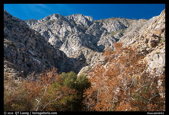 San Jacinto Peak escarpment from Chino Canyon. Santa Rosa and San Jacinto Mountains National Monument, California, USA (color)