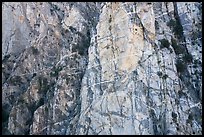 Striated cliff in Chino Canyon, north face of San Jacinto Peak. Santa Rosa and San Jacinto Mountains National Monument, California, USA ( color)