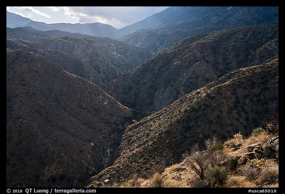 Deep Canyon and Santa Rosa Mountains. Santa Rosa and San Jacinto Mountains National Monument, California, USA (color)