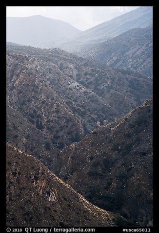 Deep Canyon. Santa Rosa and San Jacinto Mountains National Monument, California, USA (color)