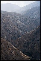 Deep Canyon. Santa Rosa and San Jacinto Mountains National Monument, California, USA ( color)