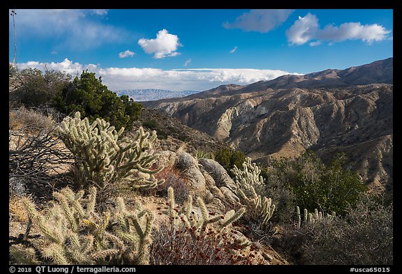 Deep Canyon from Santa Rosa Wilderness. Santa Rosa and San Jacinto Mountains National Monument, California, USA