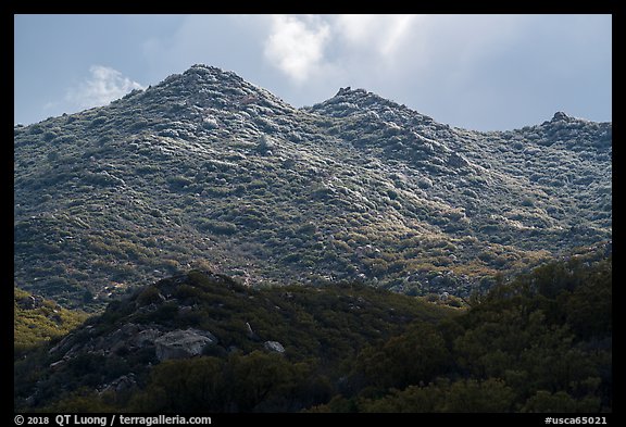 Ridge with fresh snow, Santa Rosa Mountains. Santa Rosa and San Jacinto Mountains National Monument, California, USA