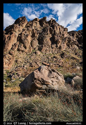 Boulder and canyon walls, Tahquitz Canyon, Palm Springs. Santa Rosa and San Jacinto Mountains National Monument, California, USA (color)