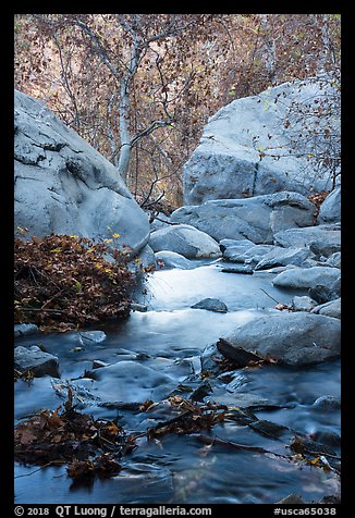 Creek below Tahquitz Falls, Tahquitz Canyon, Palm Springs. Santa Rosa and San Jacinto Mountains National Monument, California, USA (color)