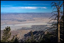 Palm Springs from Mountain Station of Aerial Tramway. California, USA ( color)