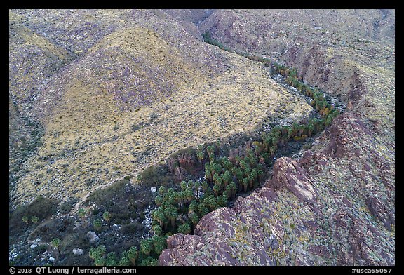 Aerial view of canyon with palm trees. Santa Rosa and San Jacinto Mountains National Monument, California, USA