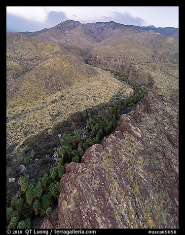 Aerial view of canyon with palm trees at the base of San Jacinto Mountains. Santa Rosa and San Jacinto Mountains National Monument, California, USA (color)