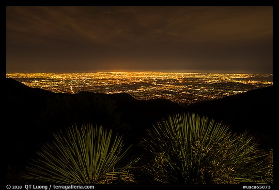 Succulents and lights of Los Angeles at night from Mount Wilson. San Gabriel Mountains National Monument, California, USA (color)