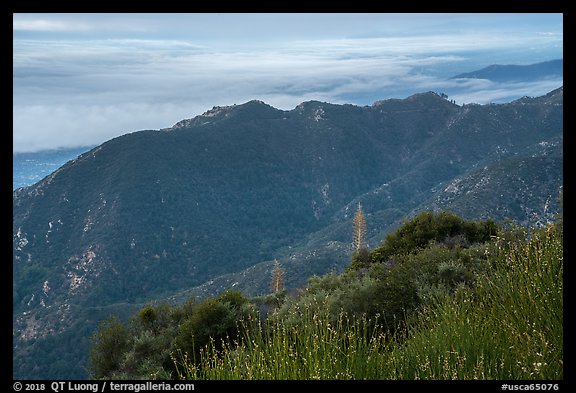 Mountains above low clouds from Mount Wilson. San Gabriel Mountains National Monument, California, USA (color)