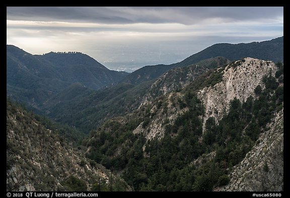 Forested mountains with Los Angeles Basin in the distance. San Gabriel Mountains National Monument, California, USA (color)