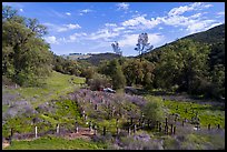 Aerial view of wildlife fence, Knoxville Wildlife Area. Berryessa Snow Mountain National Monument, California, USA ( color)