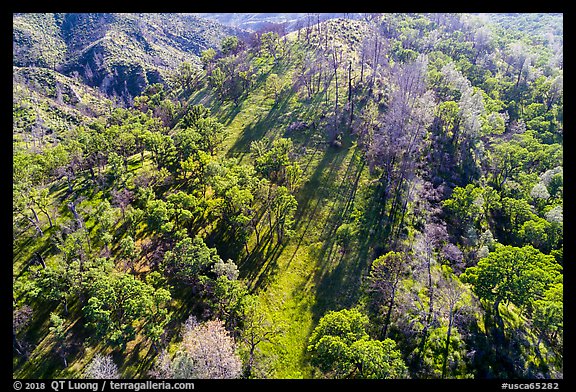 Aerial view of hillside, Cache Creek Wilderness. Berryessa Snow Mountain National Monument, California, USA (color)