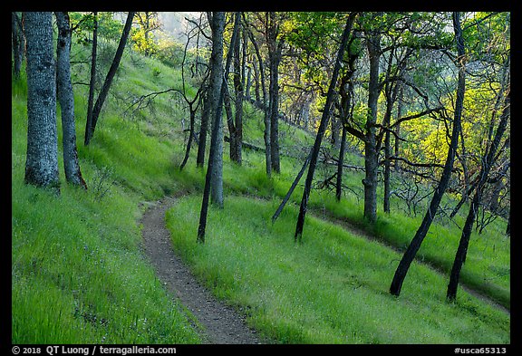 Red Bud Trail curve, Cache Creek Wilderness. Berryessa Snow Mountain National Monument, California, USA