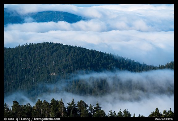 Ridges emerging from sea of clouds, Snow Mountain. Berryessa Snow Mountain National Monument, California, USA (color)