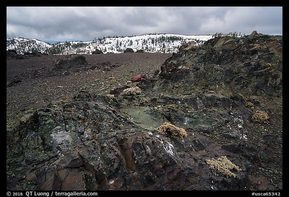 Ancient upthrust seamount rocks, Snow Mountain. Berryessa Snow Mountain National Monument, California, USA