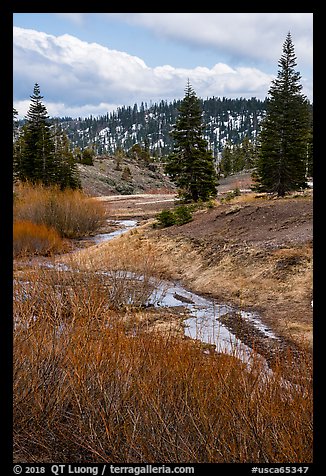 Stream bordered by shrubs with autumn color, Snow Mountain. Berryessa Snow Mountain National Monument, California, USA