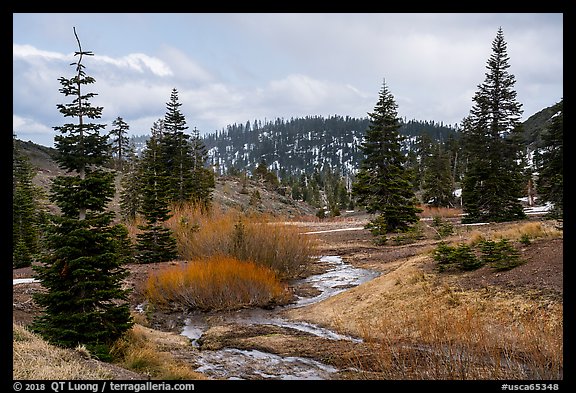 Stream and meadow in early spring with autumn color remnants, Snow Mountain. Berryessa Snow Mountain National Monument, California, USA