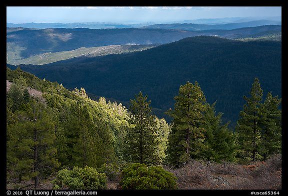 Forested ridges, Snow Mountain Wilderness. Berryessa Snow Mountain National Monument, California, USA