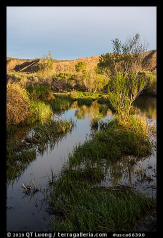 Mojave River crossing at sunrise. Mojave Trails National Monument, California, USA (color)