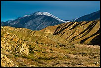 San Giorgono Mountains from Mission Creek valley. Sand to Snow National Monument, California, USA ( color)