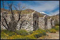 Ruined stone cabins and San Giorgono Mountain. Sand to Snow National Monument, California, USA ( color)