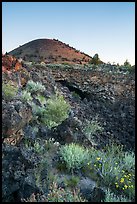 Wildflowers, Big Painted Cave, Schonchin Butte, sunrise. Lava Beds National Monument, California, USA ( color)