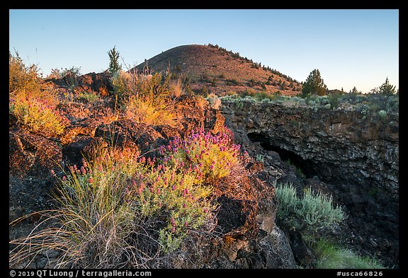 Wildflowers, Big Painted Cave entrance and Schonchin Butte at sunrise. Lava Beds National Monument, California, USA (color)