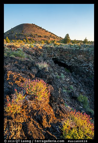 Wildflowers, Big Painted Cave entrance and Schonchin Butte. Lava Beds National Monument, California, USA (color)