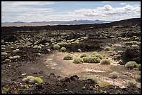Lavic Lake volcanic field. Mojave Trails National Monument, California, USA ( color)