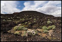 Lava field and Pisgah cinder cone. Mojave Trails National Monument, California, USA ( color)