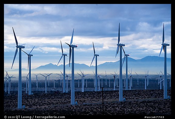 Wind turbines at dawn, San Gorgonio Pass. California, USA (color)