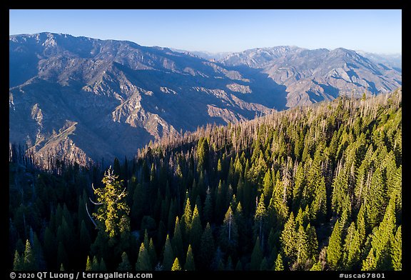 Aerial view of Converse Basin with Boole Tree and Kings Canyon. Giant Sequoia National Monument, Sequoia National Forest, California, USA (color)