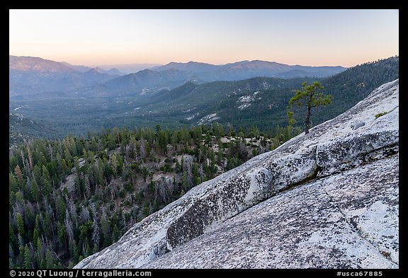 Granite slab at sunset, Dome Rock. Giant Sequoia National Monument, Sequoia National Forest, California, USA (color)