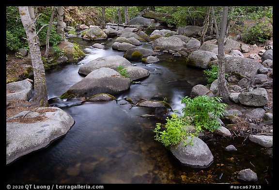 Middle Fork Tule River. Giant Sequoia National Monument, Sequoia National Forest, California, USA