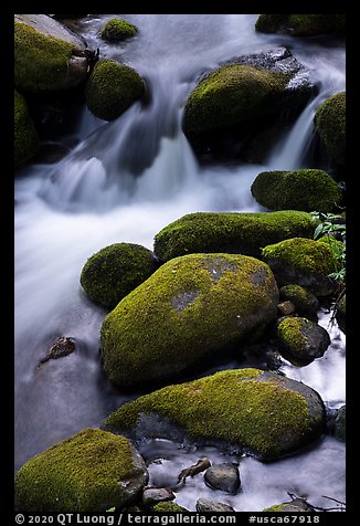Mossy boulders and creek. Giant Sequoia National Monument, Sequoia National Forest, California, USA